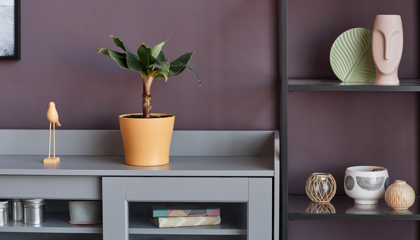 Artículos de decoración